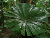CIMG0822