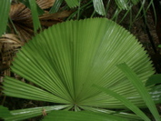 CIMG0823