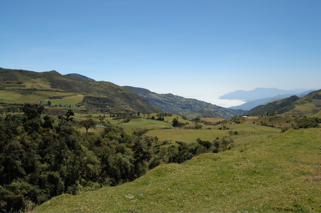 Andenhochland 1