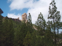 P9270077.JPG