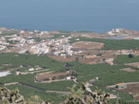 PA020129.JPG