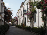 PA060296.JPG