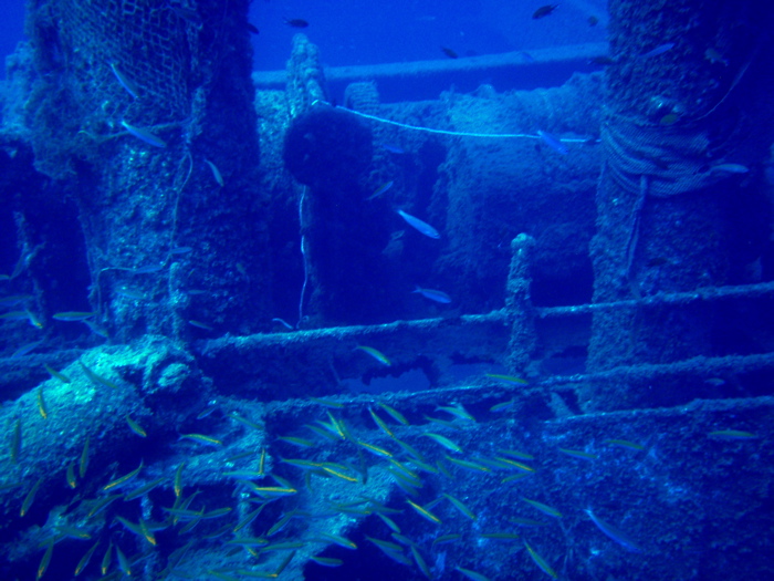 P9280127.JPG