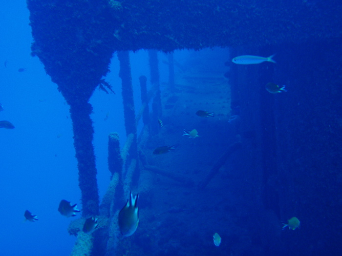P9280104.JPG