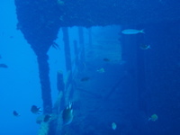 P9280104.JPG