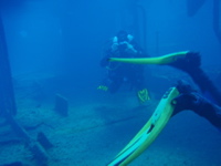 P9280105.JPG