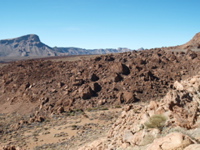 PA040215.JPG