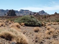 PA040252.JPG