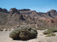 PA040255.JPG