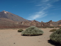 PA040256.JPG