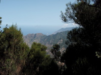 PA050278.JPG