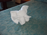 PA030186.JPG
