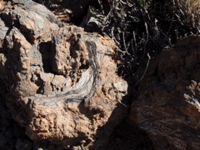 PA040205.JPG