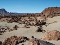 PA040207.JPG